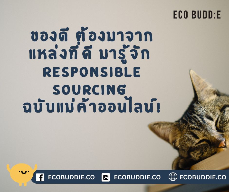 🌱 Responsible Sourcing: แหล่งที่มารับผิดชอบ สำคัญกว่าที่คุณคิด!
