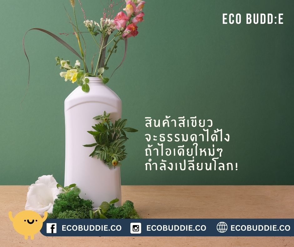 ปลดล็อกพลังนวัตกรรมสีเขียว: เมื่อ “ความใหม่” ไม่ได้แปลว่าต้องเริ่มจากศูนย์