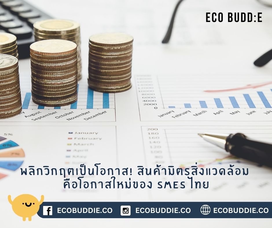 โอกาสธุรกิจใหม่ของ SMEs ไทย: เมื่อสินค้า ECO คือคำตอบของการเติบโตอย่างยั่งยืน