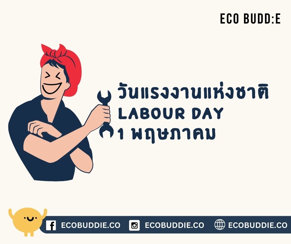 สนับสนุน SMEs ไทยในวันแรงงาน: ก้าวสู่อนาคตที่ยั่งยืนผ่านผลิตภัณฑ์มิตรกับสิ่งแวดล้อม