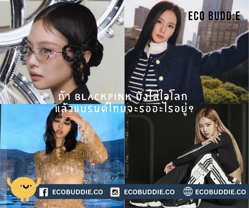 BLACKPINK เลือกแฟชั่นรักษ์โลก – แล้ว SME ไทยจะตามทันไหม?