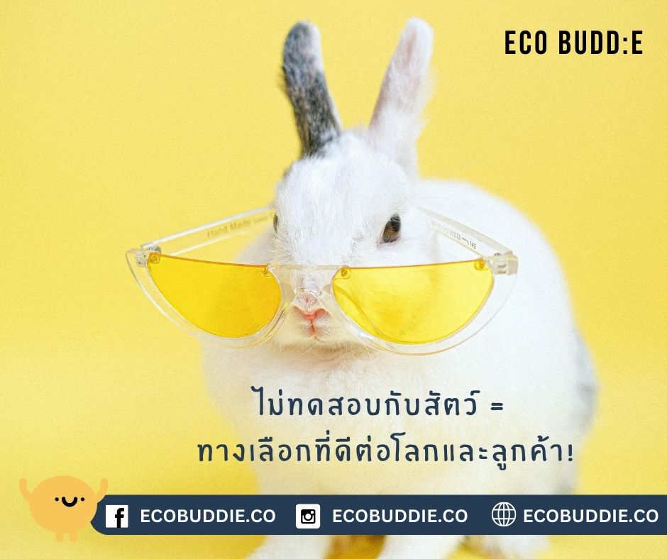 🐰 การเลือกสินค้าที่ไม่ทดสอบกับสัตว์ (Cruelty-Free): ทางเลือกที่ดีต่อโลกและลูกค้า