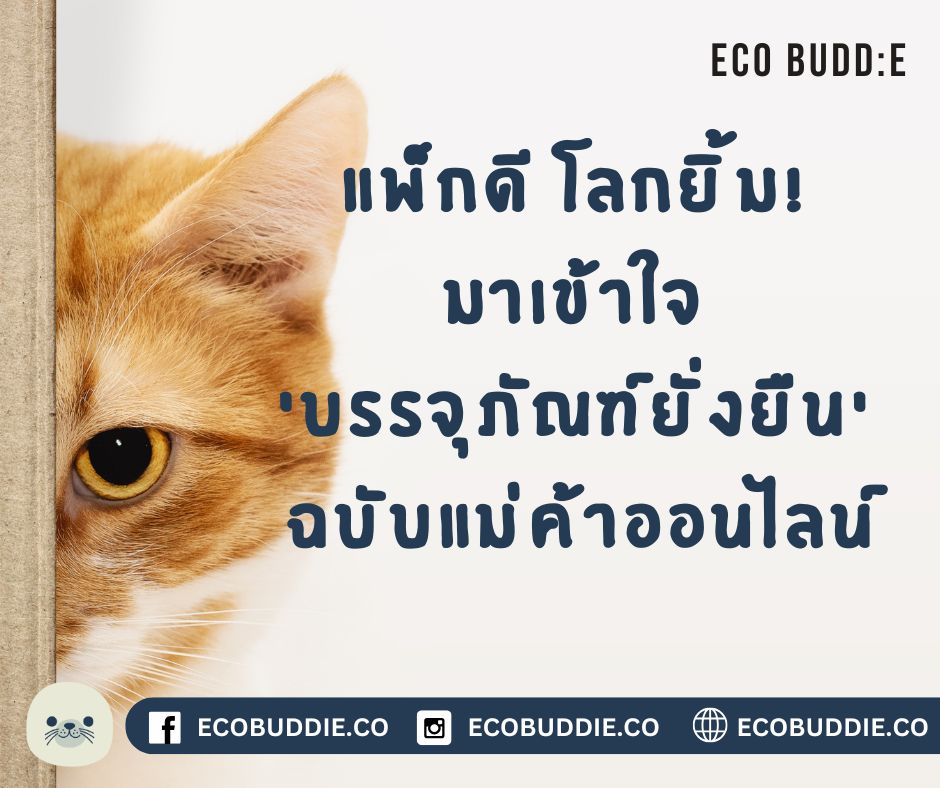 📦 “แพ็กดี โลกยิ้ม! เข้าใจ ‘บรรจุภัณฑ์ยั่งยืน’ ฉบับแม่ค้าออนไลน์”